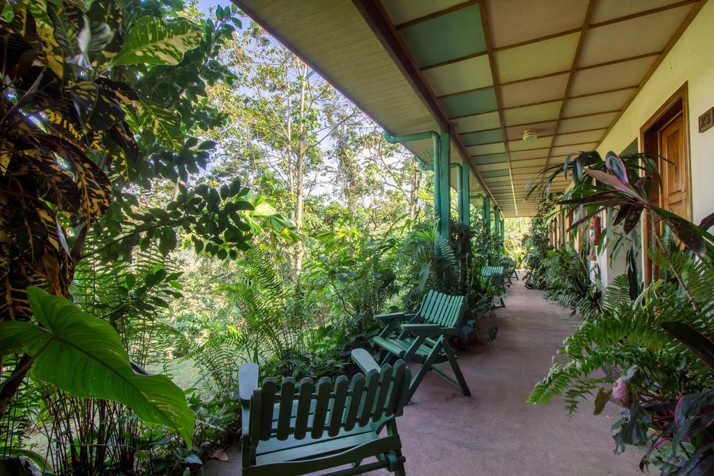 Lands In Love Hotel And Resort Colonia Palmareña Εξωτερικό φωτογραφία